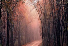 B体育:U22国足1-0绝杀韩国U22.