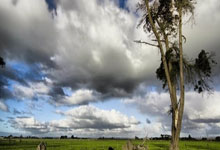 B体育:德转列意甲最贵阵:劳塔罗领衔国米人入选,亚特兰大人在列.