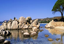 B体育:德转列意甲最贵阵:劳塔罗领衔国米人入选,亚特兰大人在列.